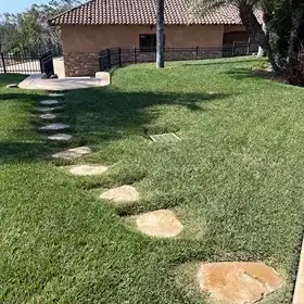 A Southern California lawn treated by Lawnscape Systems