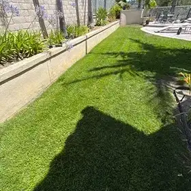 A Southern California lawn treated by Lawnscape Systems