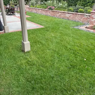 A Southern California lawn treated by Lawnscape Systems