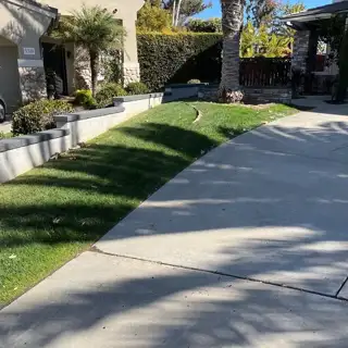 A Southern California lawn treated by Lawnscape Systems