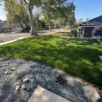 A Southern California lawn treated by Lawnscape Systems